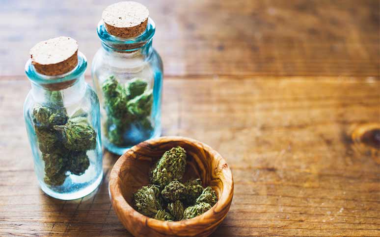 Desafíos para la Educación Popular en Cannabis Medicinal en Latinoamérica