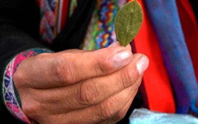 Pobladoras de “tierras profundas”: Coca y mujeres en la implementación de los acuerdos de paz en la Amazonia colombiana