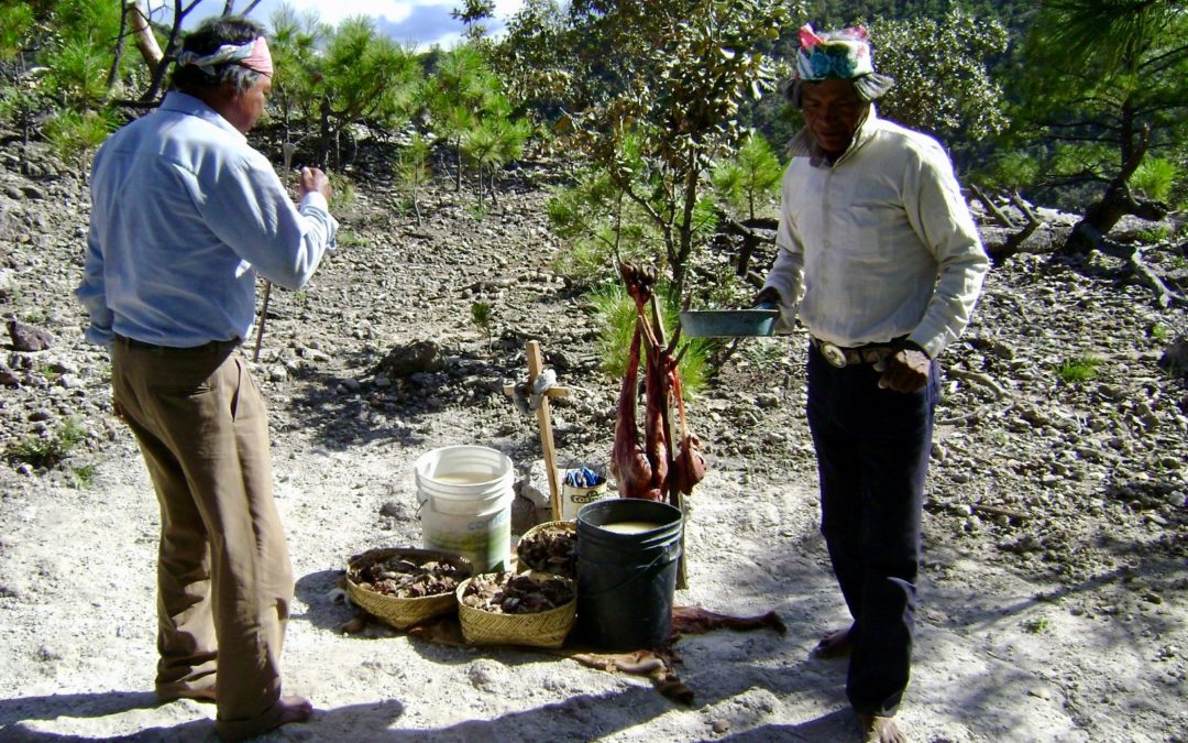 La especialidad del sipáame en la Sierra Tarahumara