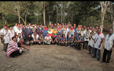 Chamanismo y Violencia: La Práctica de la Curación con Yagé como Articulador Político y Social entre Comunidades Indígenas en Colombia