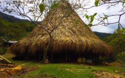 La Coca y el Tabaco en el Proceso de Renacimiento del pueblo Muhysqa de Colombia